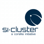si-Cluster